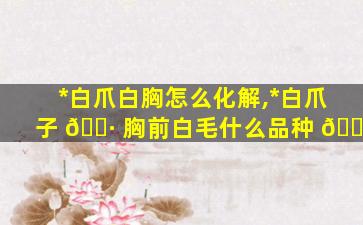 *
白爪白胸怎么化解,*
白爪子 🕷 胸前白毛什么品种 🐟
